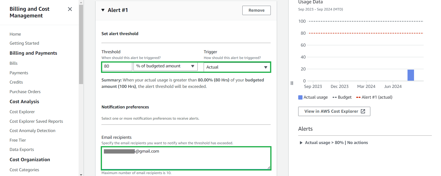 Budget Name & Amount